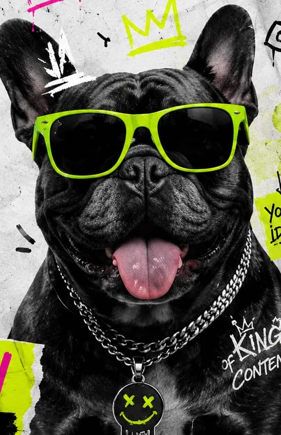 CloutLab's bulldog mascot in lime sunglasses and a chain, against a graffiti wall